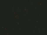h20anim.gif